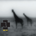 Keine Lust. Nuevo Single. Portada y primeros rumores sobre el contenido.